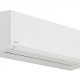 Toshiba_Shorai Edge